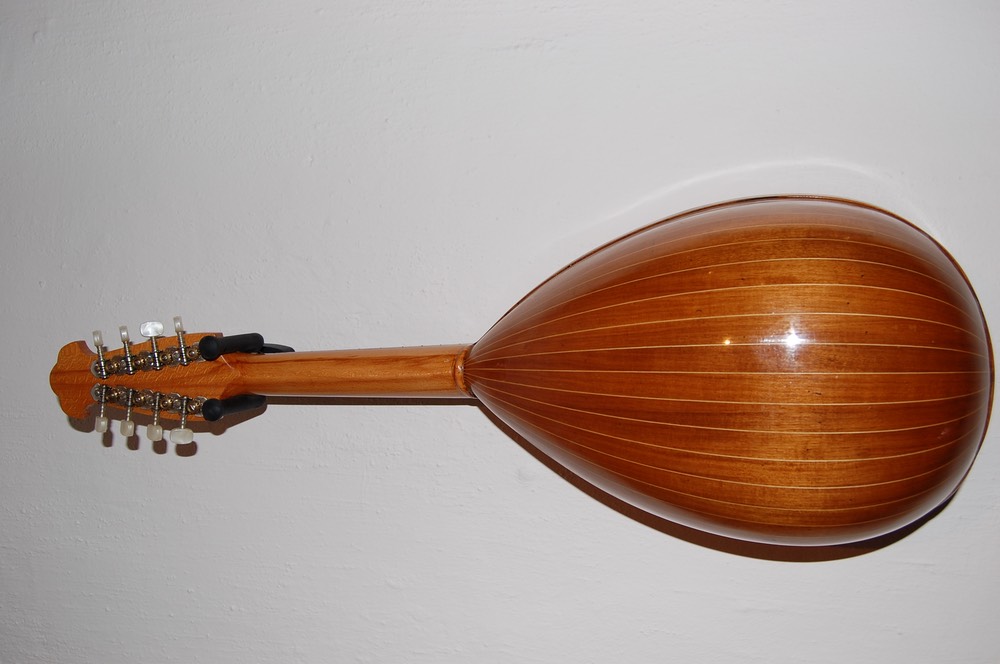 Mandola, Gitarrenzentrum